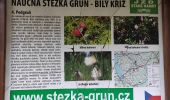 Randonnée A pied Staré Hamry - NS Gruň - Bílý Kříž - Photo 8