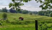 Tour Wandern Veyrac - m'as doumy veyrac - Photo 1