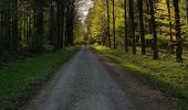 Tour Mountainbike Walcourt - Rando VTT au départ de Tarcienne  - Photo 2