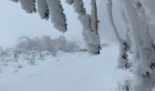 Trail Walking Murol - Le tour de Beaune le froid  - Photo 10