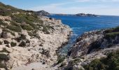 Trail Walking Marseille - La Calanque de Marseilleveyre - Photo 6