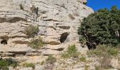 Excursión Senderismo La Farlède - Petit Coudon en partant de La Farlède - Photo 10