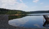 Randonnée Marche Pierre-Percée - Lac de la Pierre-Percée - château de Salm - grotte des Poilus et l'observatoire - Photo 1