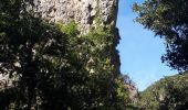 Randonnée Marche Signes - Siou Blanc - Éléphant de Pierre - Aiguilles de Valbelle - Photo 5