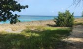 Trail Walking Port-Louis - Port Louis anse Bertrand  - Photo 9