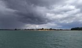 Randonnée Bateau à moteur Locmariaquer - 2023-09-22 golfe du morbihan croisière avec l'angélus - Photo 6