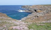 Excursión Senderismo Sauzon - pointe des poulains - Photo 8