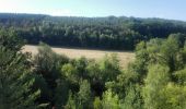 Tour Wandern Andenne - 20190702 Kevret - Photo 16