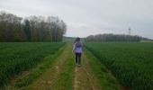 Trail Walking Nogent-sur-Oise - nogentaise - Photo 12