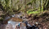 Tour Wandern Montagnol - Le mazet trounas montagneol le mazet  - Photo 1