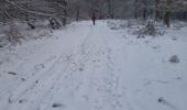 Tour Wandern Libramont-Chevigny - Marche ADEPS 10km100 à Freux - Photo 10