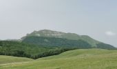 Trail Walking Omblèze - Le Plateau d'Ambel du Col de la Bataille - Photo 9