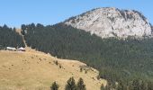 Tour Wandern Bellecombe-en-Bauges - montagne du charbon : montée par la piste Reposoir. col de bornette . refuge de la combe / retour même itinéraire sauf par les champs et bois depuis bornette  - Photo 20