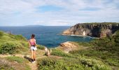 Tour Wandern Le Moule - Anse Petite Savane - Anse à l'Eau 2 - Photo 12