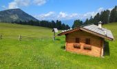 Tocht Stappen Villnöß - Funes - Puez Geisler - Gschnagenhardt et Glatschalm - Photo 6