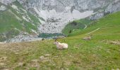 Excursión Senderismo La Chapelle-d'Abondance - CORNETTES DE BISE: LAC DE DARBON - Photo 10