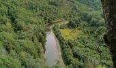 Tour Wandern Bouillon - Poupehan_Rochehaut_Frahan_Poupzhan - Photo 14