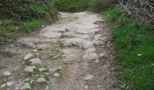 Trail Walking Pollionnay - Pollionay- Saint Bel - Lentilly  - Photo 13