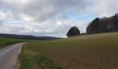 Randonnée Marche Maraye-en-Othe - forêt chenu - Photo 6