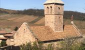 Trail Walking Chasselas - Chasselas (Saône- et-Loire région Bourgogne)   - Photo 2