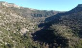 Tocht Stappen Saint-Maurice-Navacelles - Le cirque de Navacelles du 02-02-2024 - Photo 2