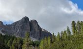 Tocht Stappen Auronzo di Cadore - Vallon Popena & Guglia De Amicis - Photo 19