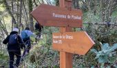 Trail Walking Lucéram - Col St Roch boucle - Photo 3