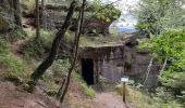 Randonnée Marche Angomont - Le champ de bataille de la Chapelotte - Photo 10