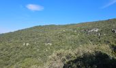 Trail Walking Signes - Plateau d'Agnis en partant de La Marseillaise - Photo 3