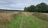 Randonnée Marche Azé - Azé - Bois et Champs - Photo 14