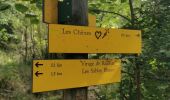 Tour Wandern Saou - Chapelle Saint-Médard à partir des Sables Blanc - Photo 11