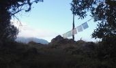 Trail Walking Salazie - Piton d'Anchain - Photo 5