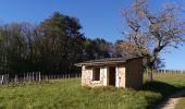 Tour Wandern Saint-Jean-le-Vieux - forêt de Saint Jean - Photo 2