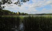 Excursión A pie Märkische Heide - Rundwanderweg Groß Leuthener See - Photo 4