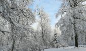 Tour Wandern Saint-Hubert - Saint Hubert sous la neige  - Photo 3