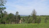 Tour Zu Fuß Bad Staffelstein - Naturlehrpfad Stublang (Grüne Raute) - Photo 5