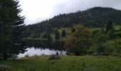 Tour Wandern Urbeis - Les deux lacs - Photo 12