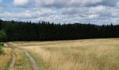 Trail Walking Saint-Nabor - boucle st nabor - Mt ste Odile  - Photo 1