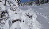 Tour Schneeschuhwandern La Pesse - L'Embossieux - Crêt de Nerbier  - Photo 1