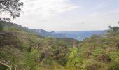 Randonnée Marche Massegros Causses Gorges - Baousse del fiel - Photo 1