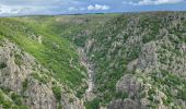 Trail Walking Pied-de-Borne - Le tour du chassezac - Photo 18