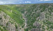 Tour Wandern Pied-de-Borne - Le tour du chassezac - Photo 18