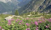 Tour Wandern Chamonix-Mont-Blanc - Glacier d'Agentière 2338m 15.7.22 - Photo 13