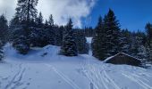 Tour Skiwanderen Nancy-sur-Cluses - 280225 Pointe de la Sallaz - Photo 1