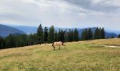 Trail Walking Tržič - veliki vrh 2086 - Photo 16