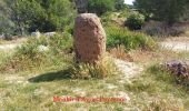 Trail Walking Saint-Raphaël - Rando Light depuis le parcours Sportif St Raphaël - Photo 3