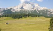Trail Walking Prags - Braies - Strudelkopf - Monte Specie 2307m - Photo 13