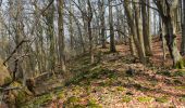 Trail On foot Eiterfeld - Rundweg 4, Stallberg - Photo 1