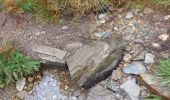 Tour Wandern Mont Lozère et Goulet - arsel chasserades au bleymard  - Photo 3