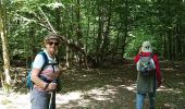 Trail Walking Bouilly - 12/06 /2020 commetruil  - Photo 1